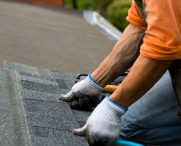 Best Residential Roofing Contractor  in New Brighton, MN